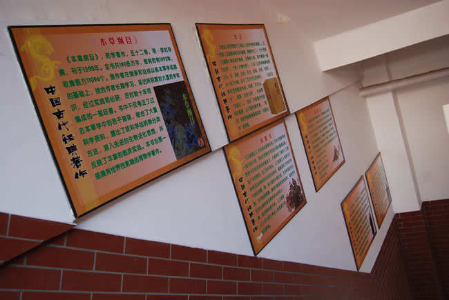 洛陽(yáng)東方外國(guó)語(yǔ)學(xué)校，校園文化走廊