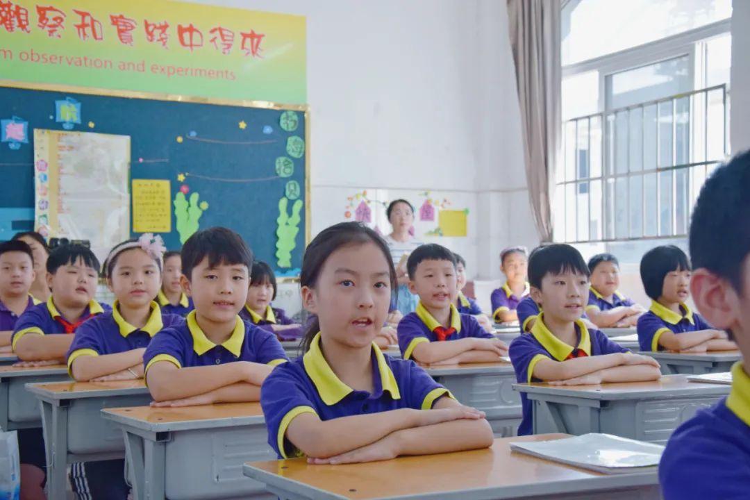激活自主課堂，點(diǎn)燃研究熱情丨東外小學(xué)部名師引領(lǐng)課活動(dòng)紀(jì)實(shí)