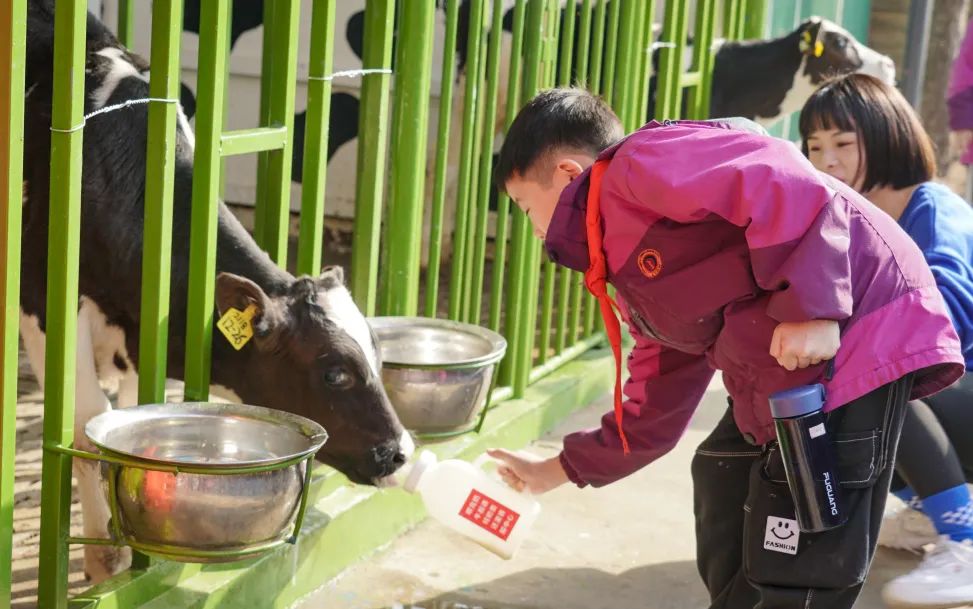 不負(fù)春光，快樂成長——洛陽東外小學(xué)部三年級(jí)研學(xué)旅行