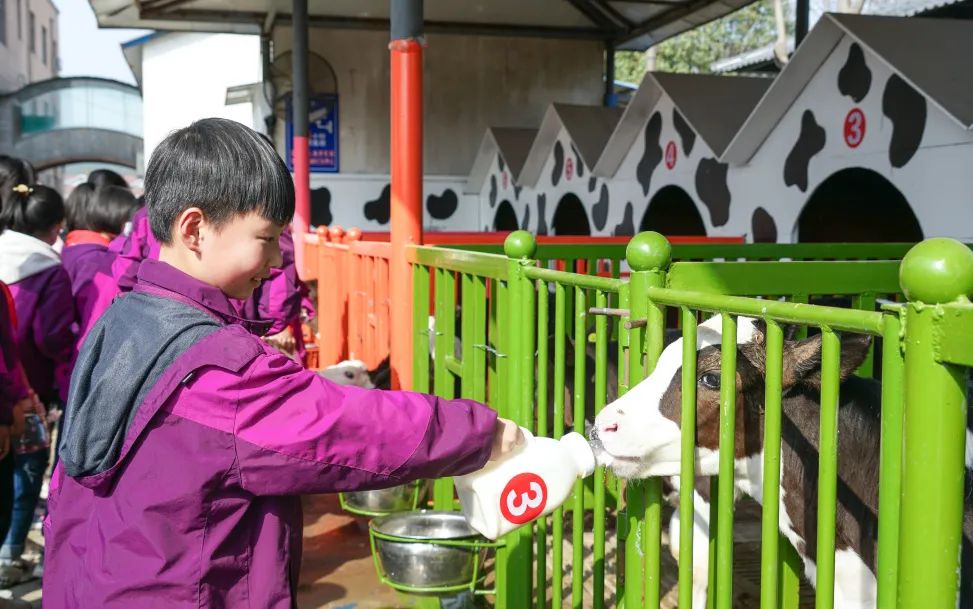 不負(fù)春光，快樂成長——洛陽東外小學(xué)部三年級(jí)研學(xué)旅行