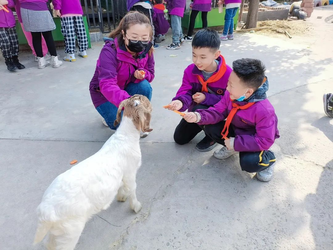 不負(fù)春光，快樂成長——洛陽東外小學(xué)部三年級(jí)研學(xué)旅行