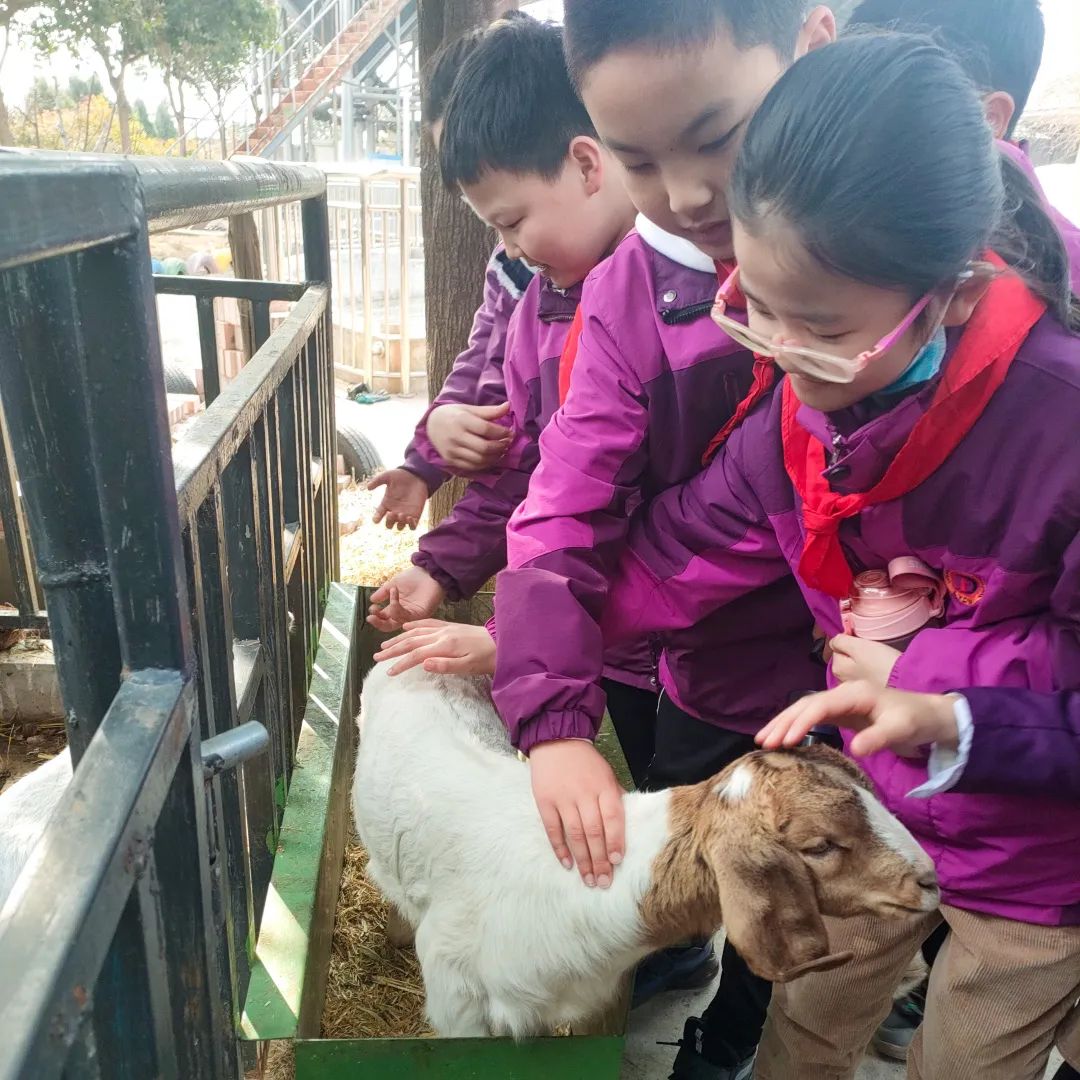 不負(fù)春光，快樂成長——洛陽東外小學(xué)部三年級(jí)研學(xué)旅行