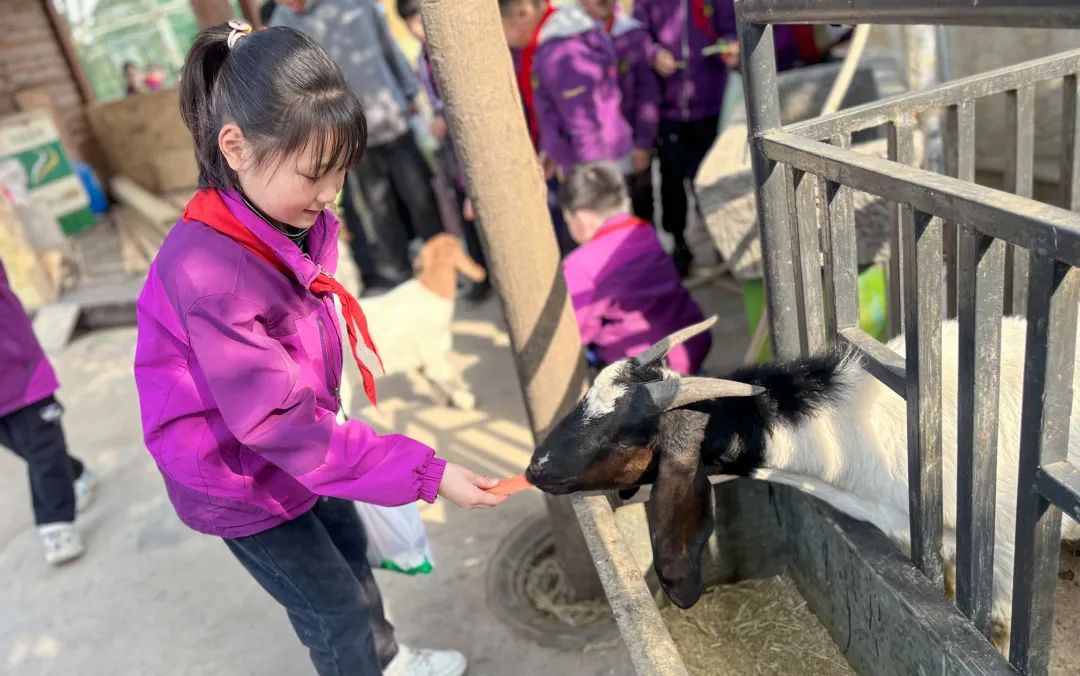 不負(fù)春光，快樂成長——洛陽東外小學(xué)部三年級(jí)研學(xué)旅行