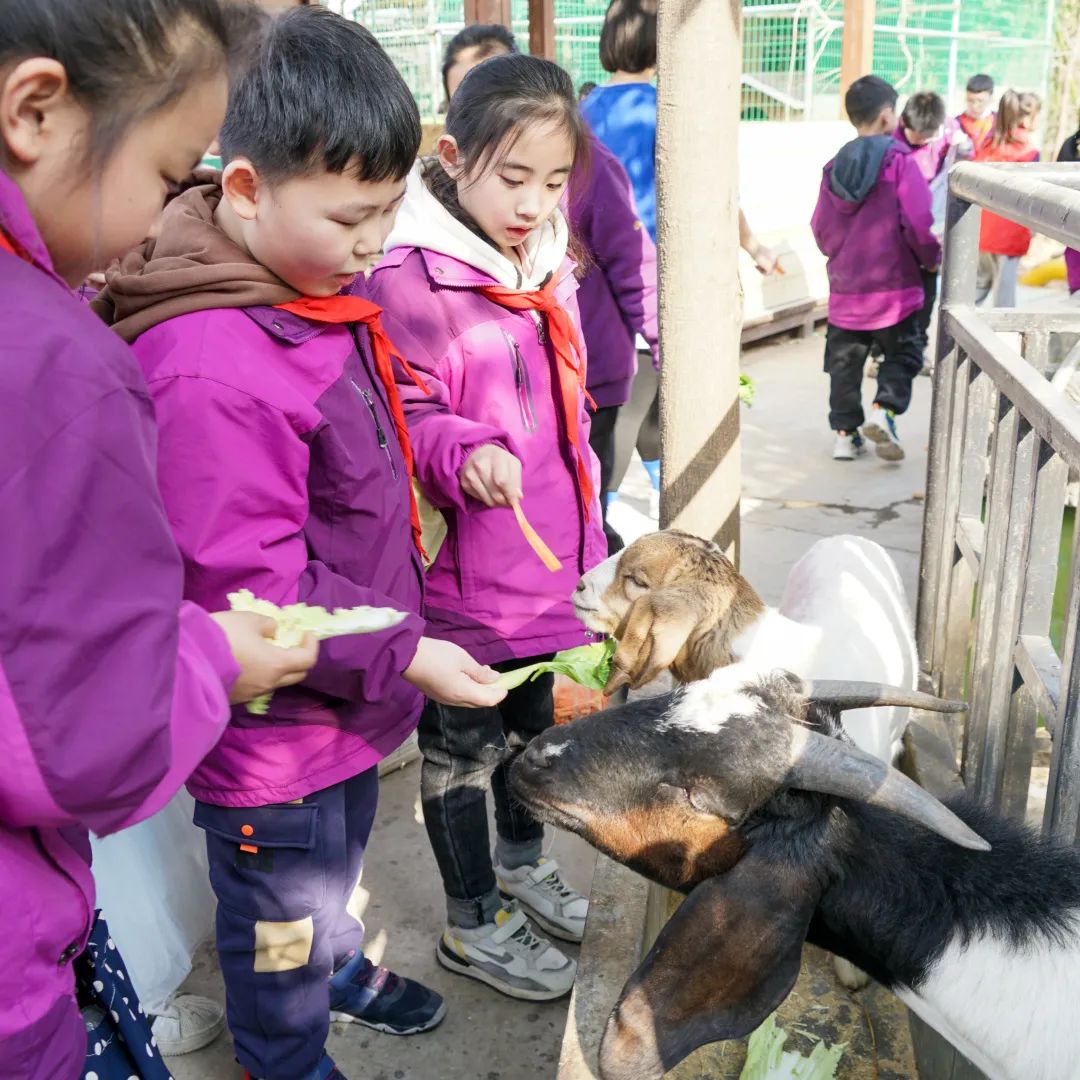 不負(fù)春光，快樂成長——洛陽東外小學(xué)部三年級(jí)研學(xué)旅行
