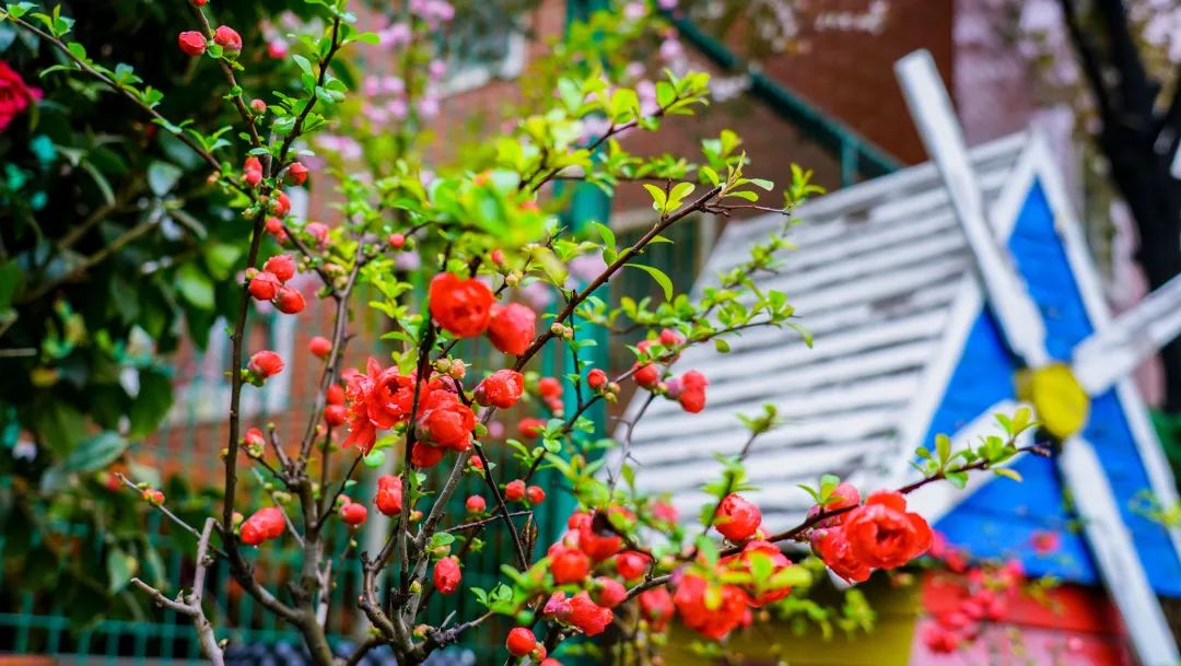 繁花似錦綻校園，核檢護(hù)航保平安
